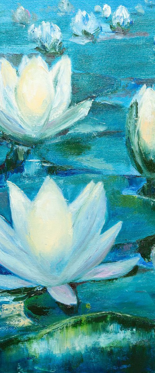 White waterlilies by Galyna Shevchencko