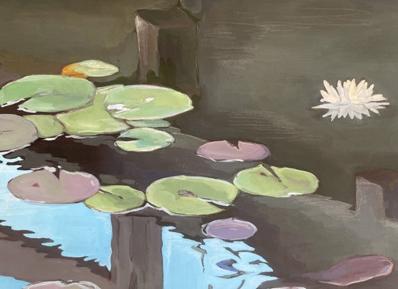 Under the bridge. Water lilies