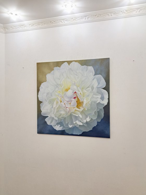 Peony extravaganza