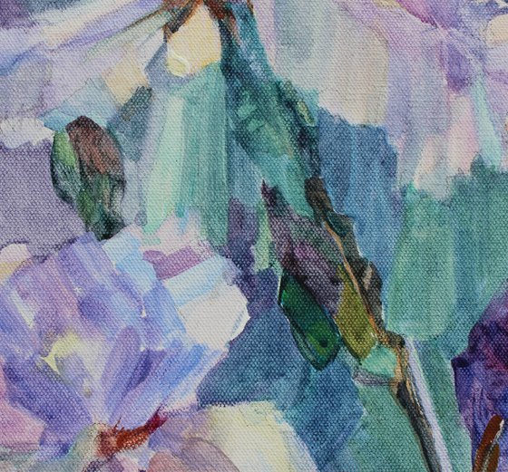 Irises from my garden
