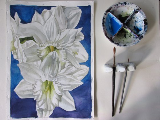 Narcissus in white watercolor floral