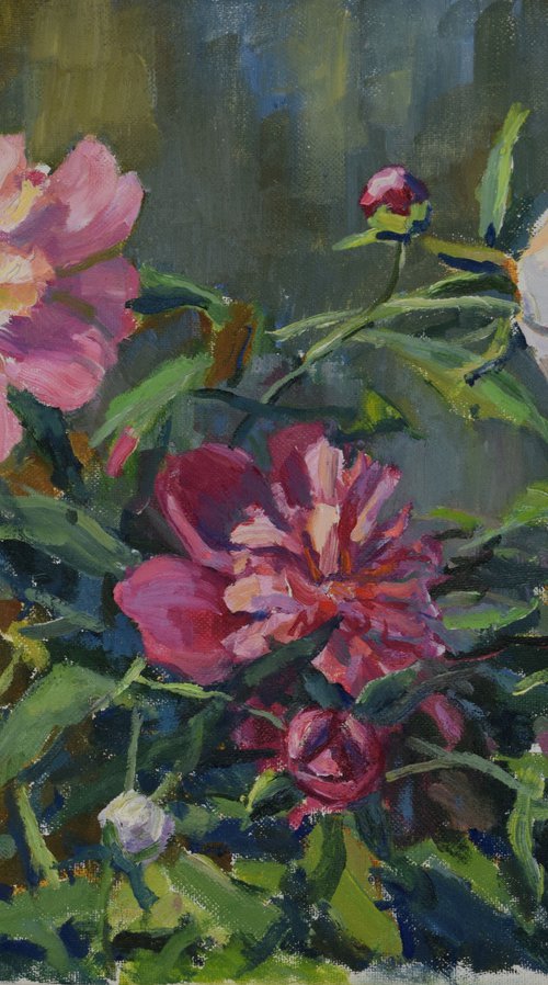 Bright peonies by Elena Sanina