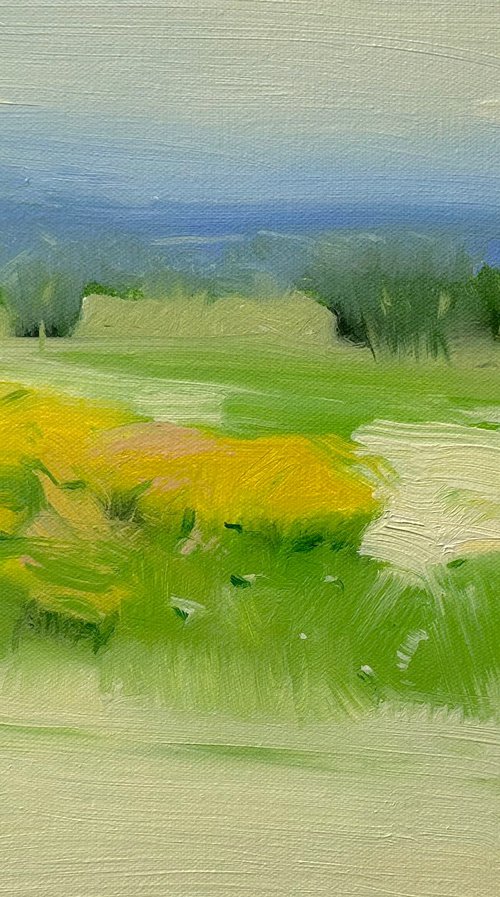 Yellow Flowers, Original oil painting, Handmade artwork, One of a kind by Vahe Yeremyan
