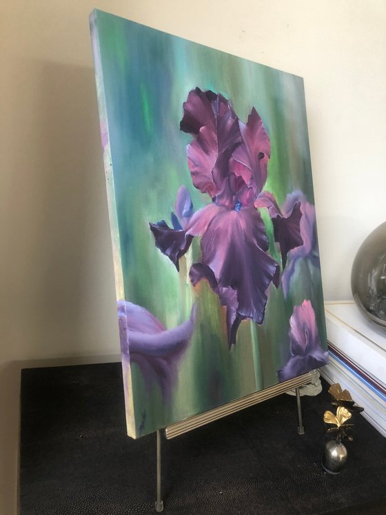 Purple Irises