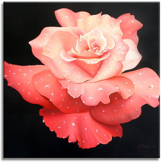 Le Rose