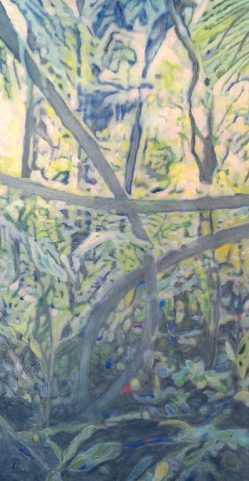 Jungle by Nathalie Maquet