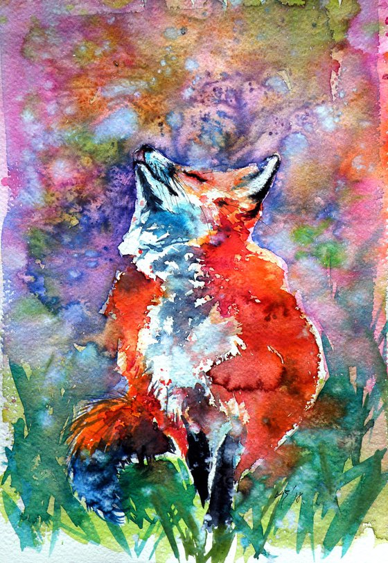 Spring is in the air - red fox