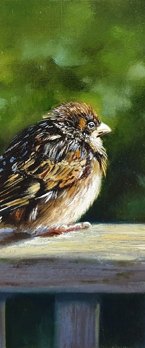 It`s disheveled by Anna Bessonova (Kotelnik)