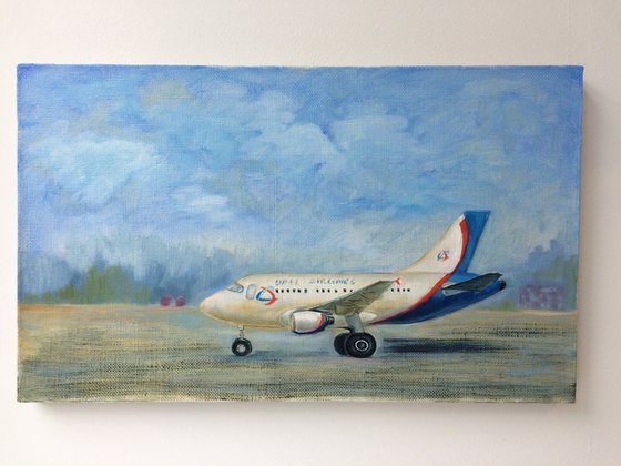 Landscape with the airplane on runway