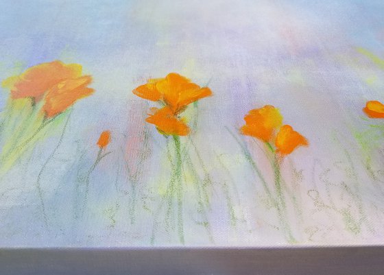 California Poppies #3