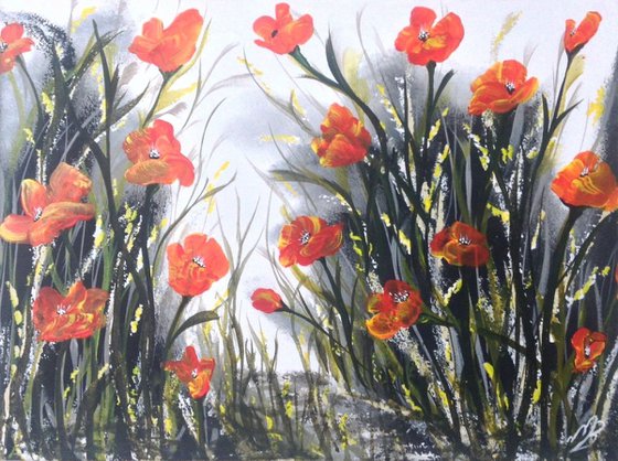 Bright Poppies