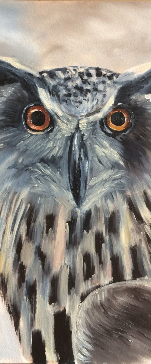 Owl by Ira Whittaker