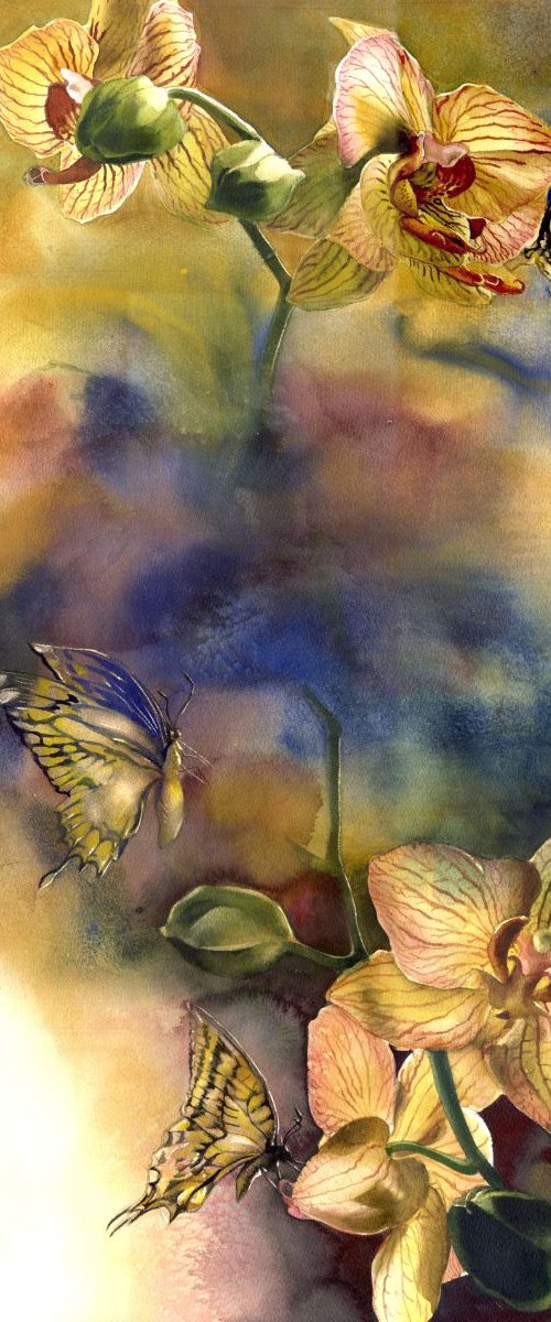 Butterflies with orchid by Alfred  Ng