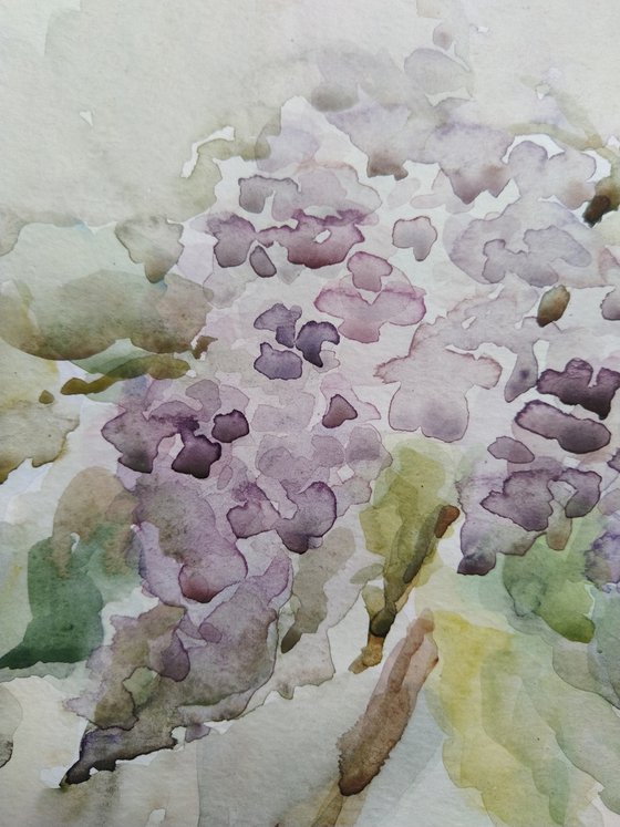 Lilac. Original watercolor painting.