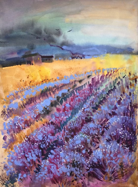 Lavender field. Abstract landscape with lavender field. Very peri painting