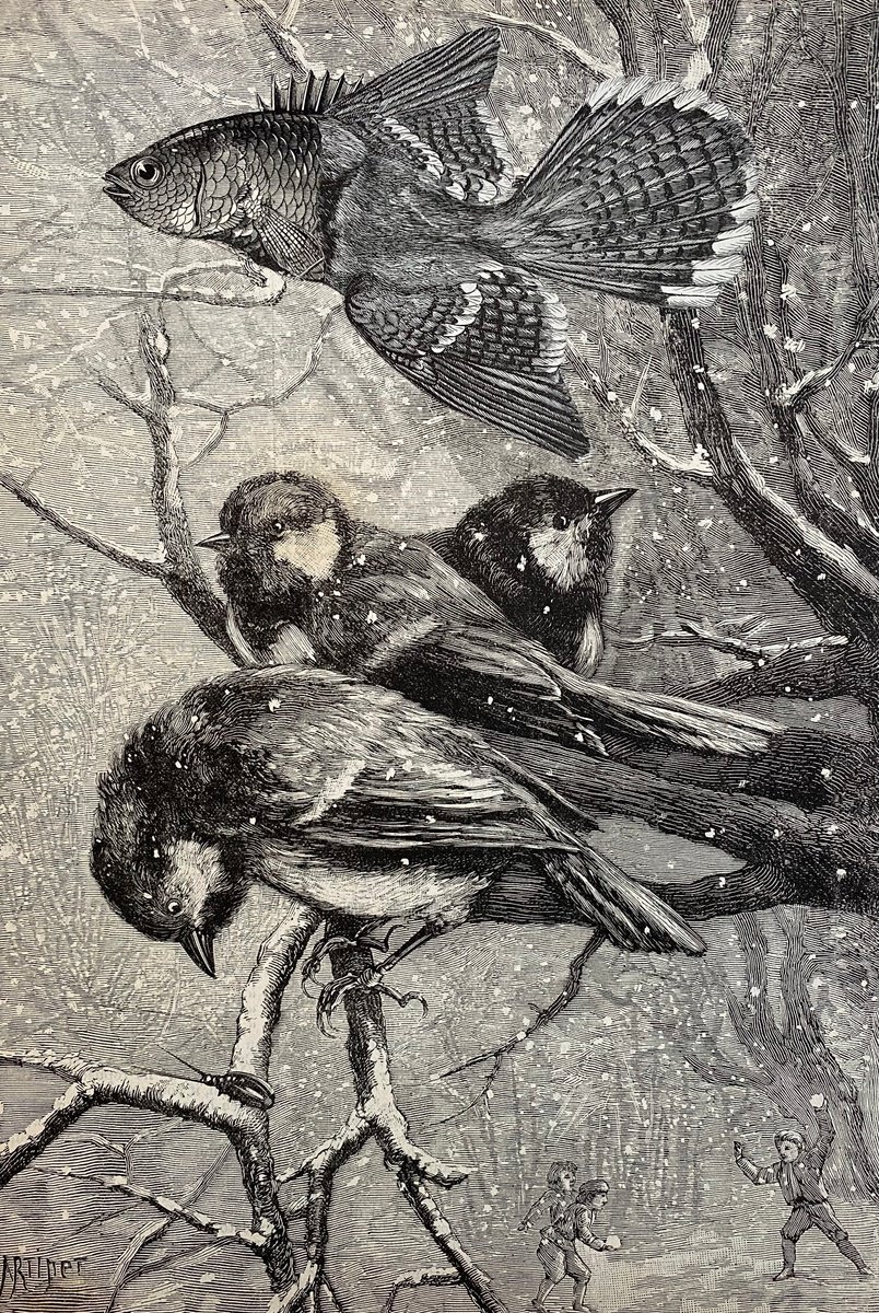 Surrealistic Collage , Sparrows In The Snow By Tudor Evans, 7 X 10, Artwork For Sale On Artfinder