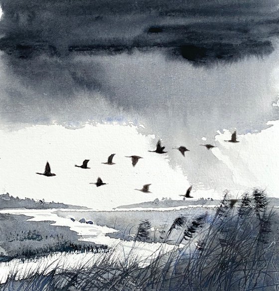 Monochrome rain clouds ducks