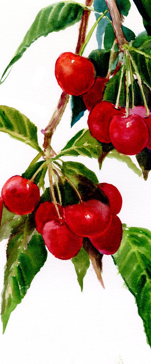 Red Cherries by Suren Nersisyan