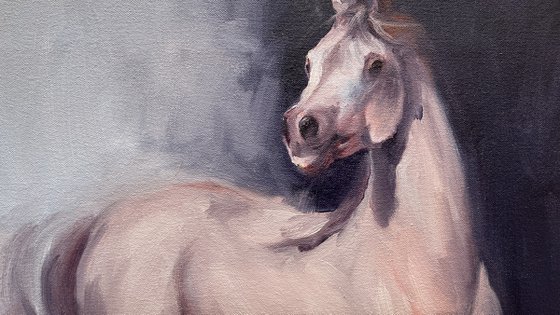 Arabian White (study)