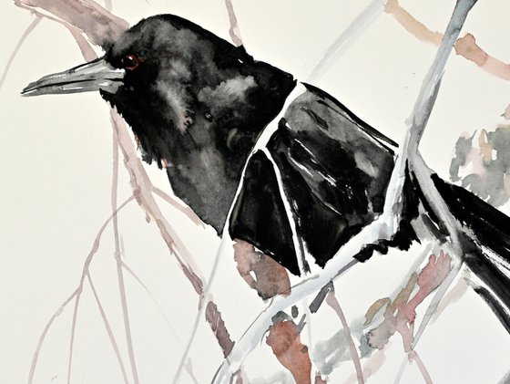 Crow artwork