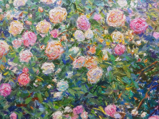 Fragrance of a Rose Garden.