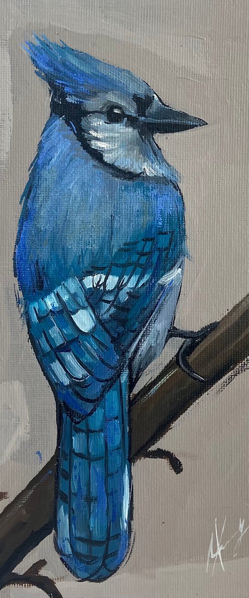 Bird painting Blue Jay 22x16cm (6x8inch) original oil art by Leysan Khasanova