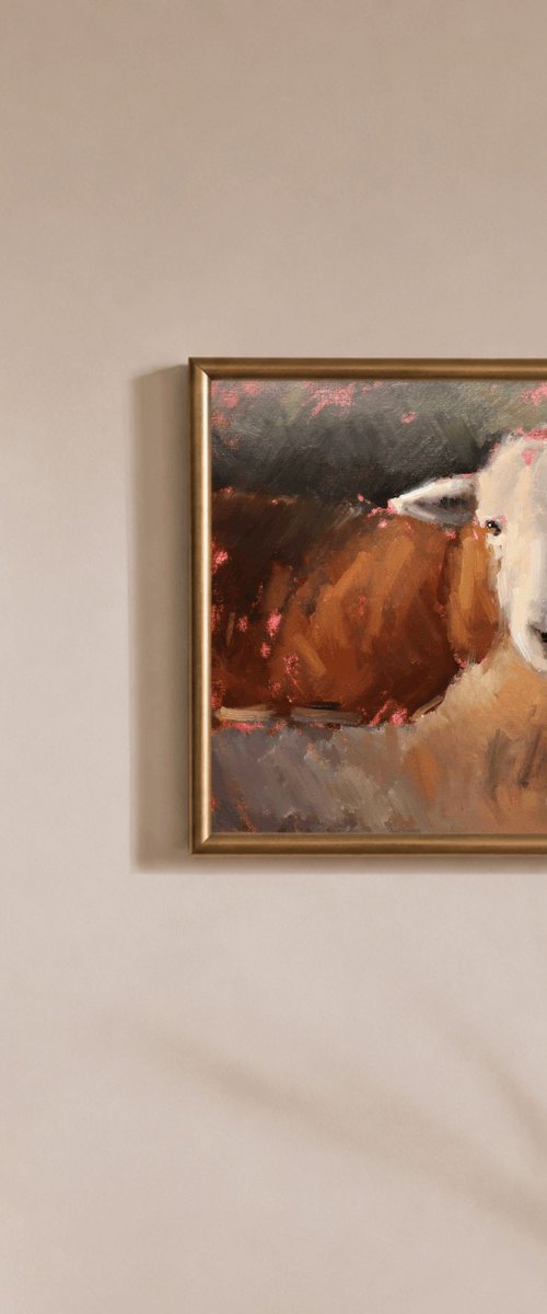 Herdwick Sheep Study by Jade Eynon