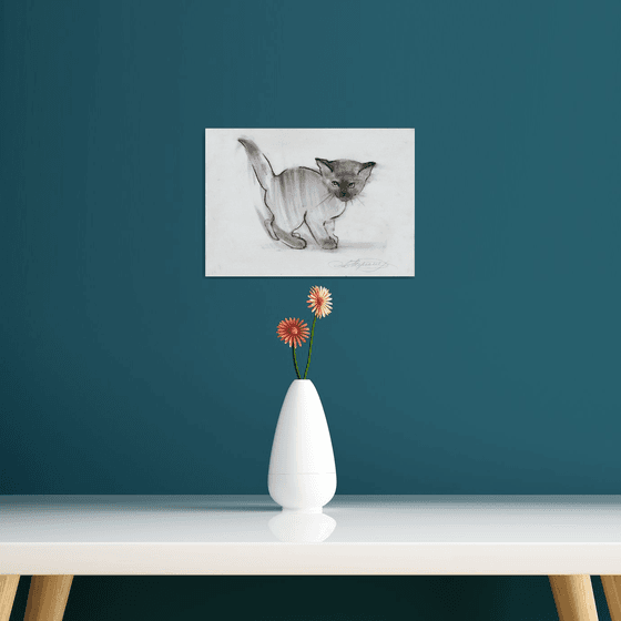 The Imp Cat
