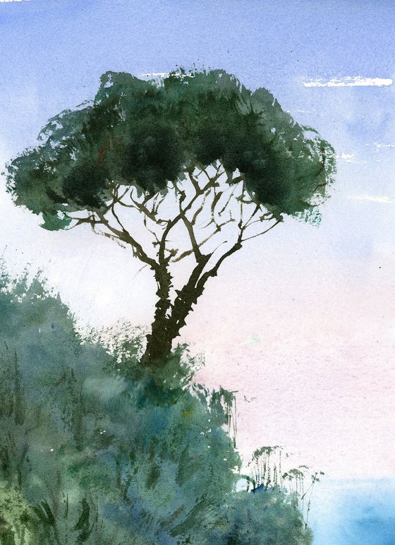 Stone Pine tree Landscape