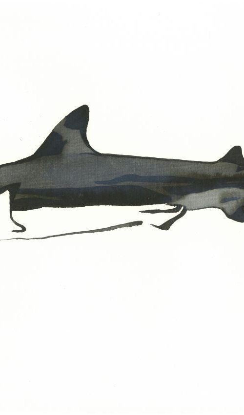 Shark I Animal Drawing by Ricardo Machado