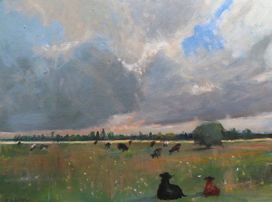 Cow Meadow