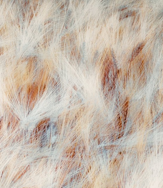 Dancing grains (studio 4)
