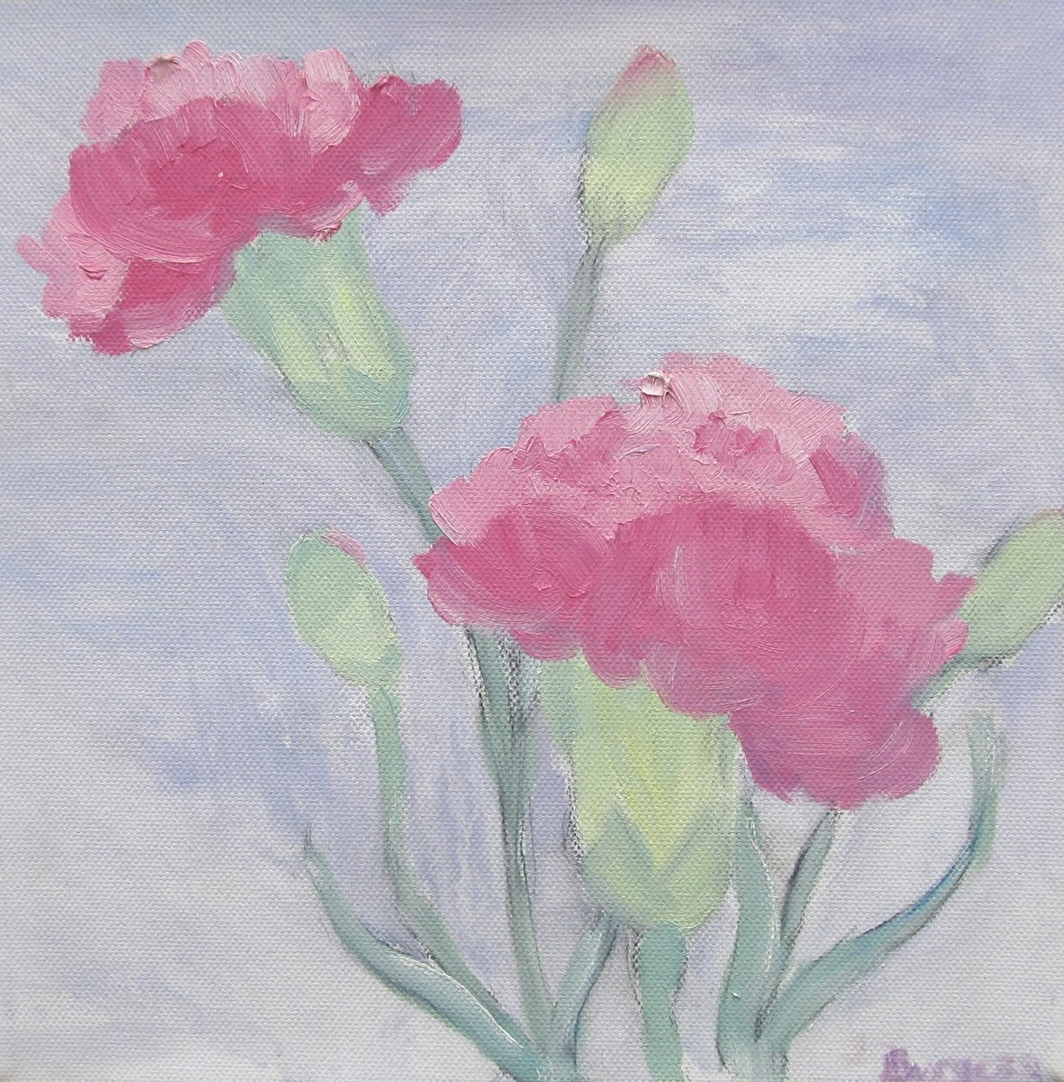 Carnations by Brenda Burgess