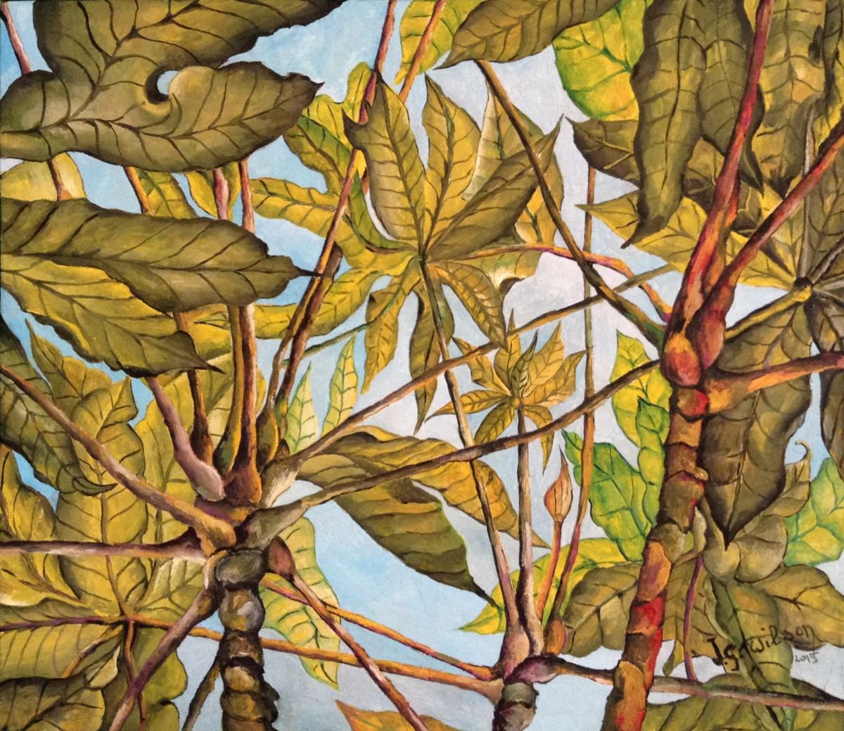 Landscape Oil Painting By Jg Wilson, 16 X 17, Leaves N. 1, Original Artwork