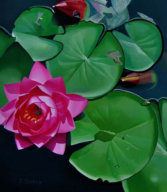 Custom artwork for Adnan,   Water lily, Nymphaea