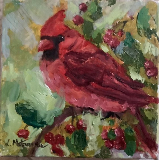 Cardinal