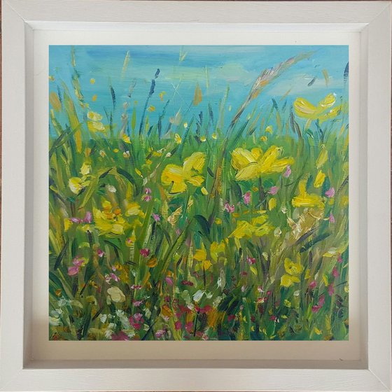 Buttercup Meadow - summer sunshine