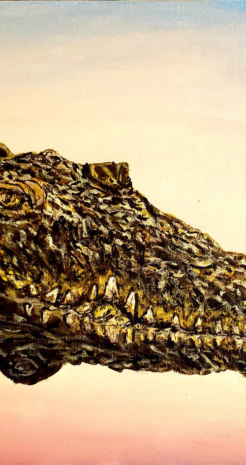 The American Crocodile by Robbie Potter