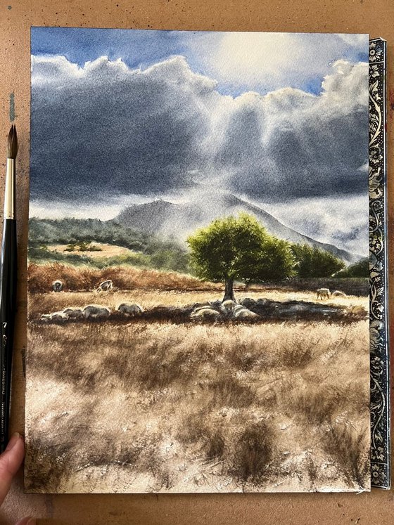 Countryside Mallorca