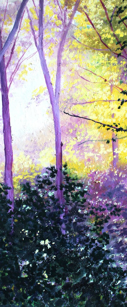 Sunlit Woodland by Rod Bere