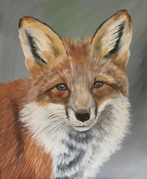 Fox by David Kendall