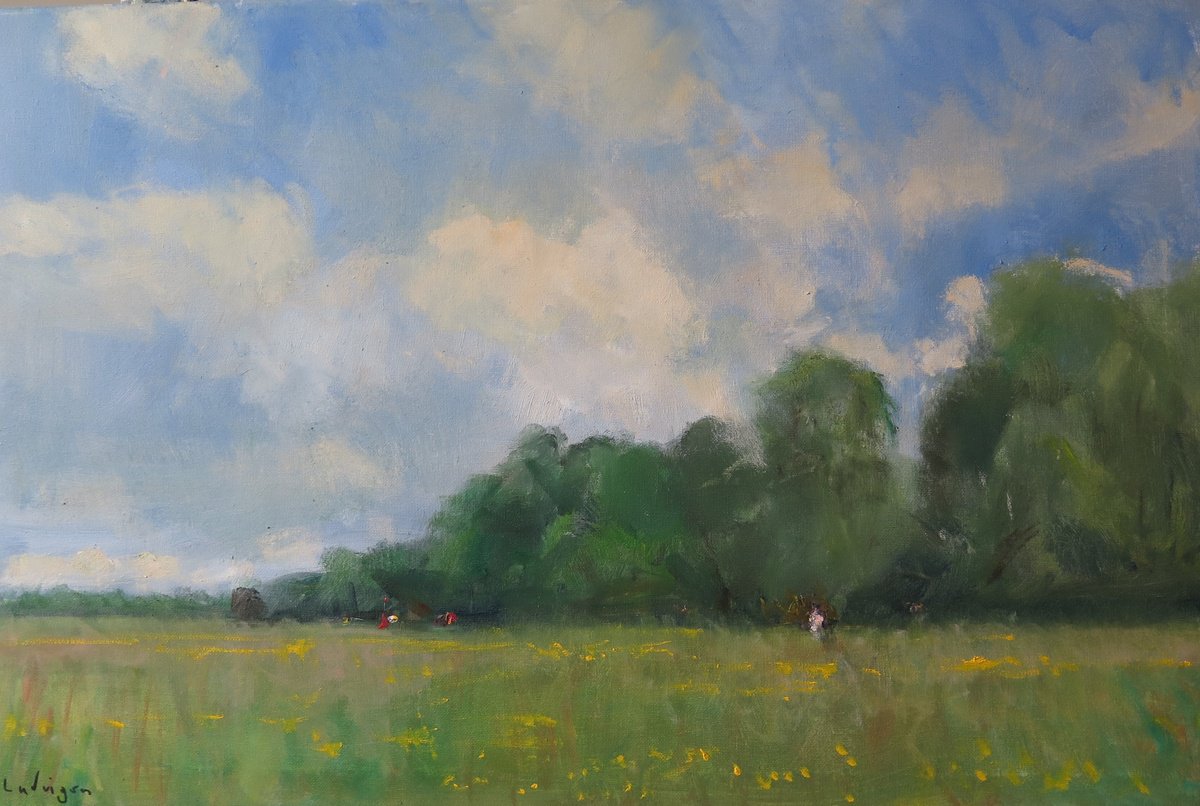 Midsummer Meadow by Malcolm Ludvigsen