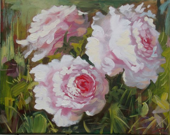 Peonies3