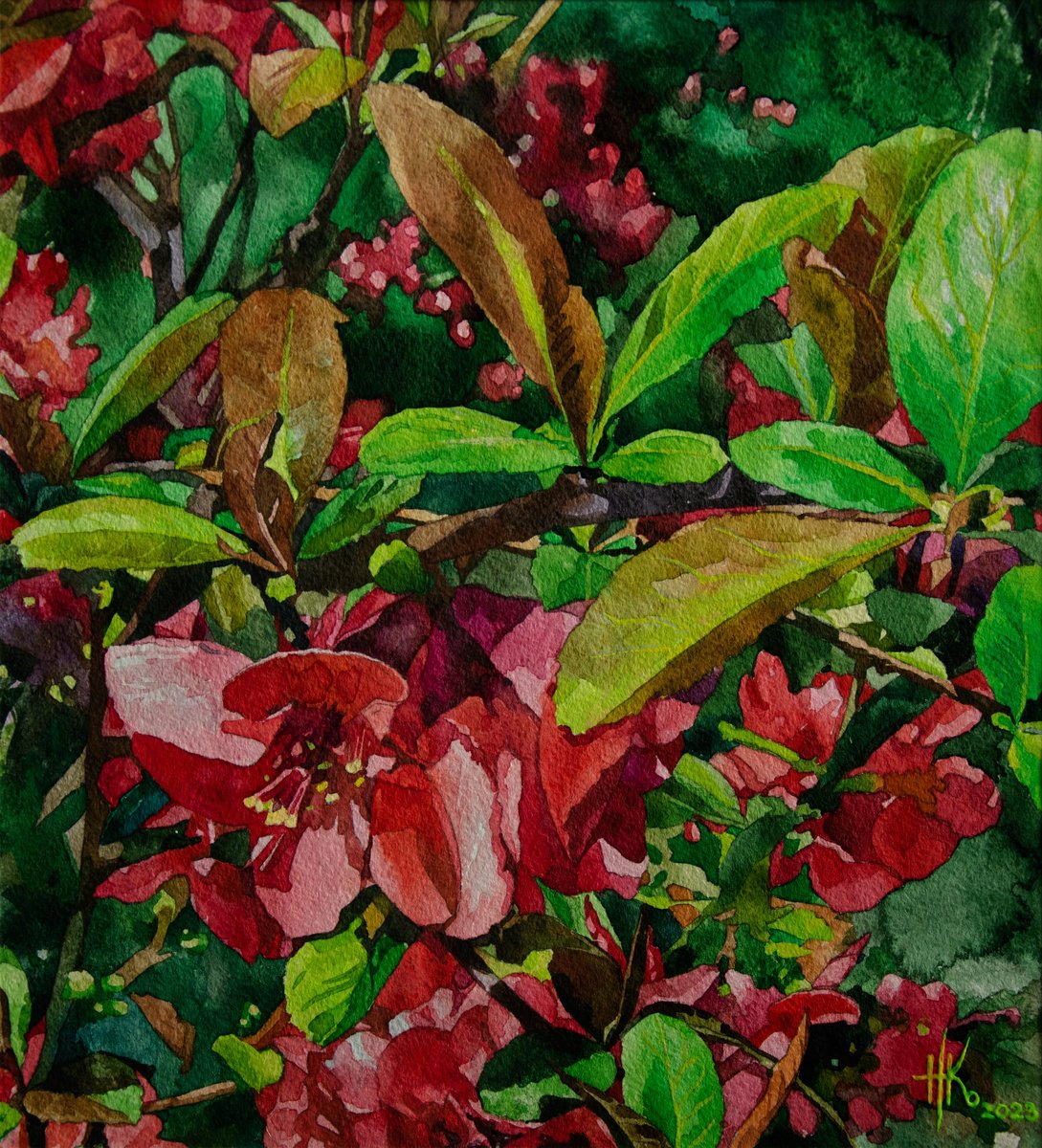 Impressionistic Botanical Watercolour By Zhanna Kondratenko, 14 X 15", Japanese Quince, Original Artwork