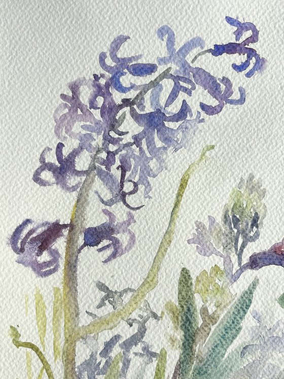 Hyacinth and primroses