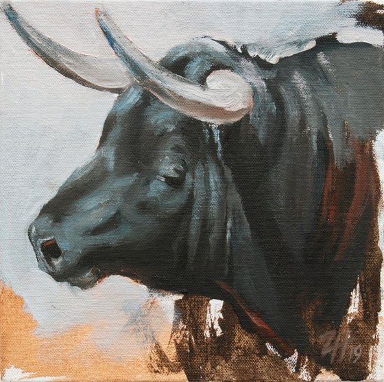 Toro Head Negro (study 46)