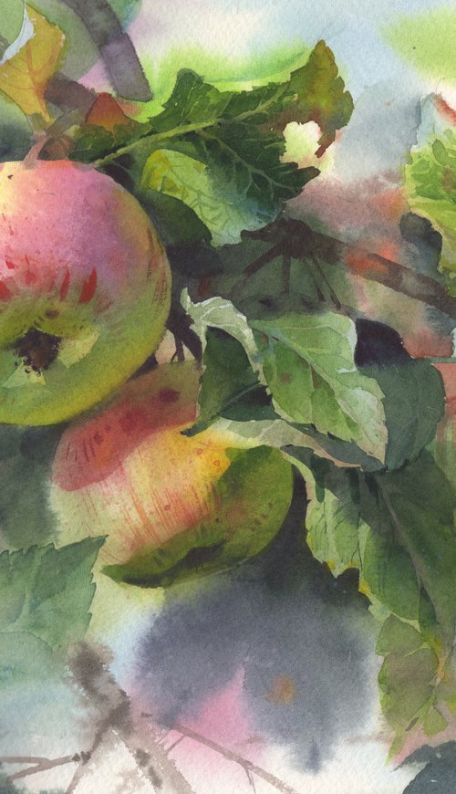 APPLES ON A BRANCH - still life watercolor painting on watercolour paper original decor for interior kitchen and dining room. by Samira Yanushkova