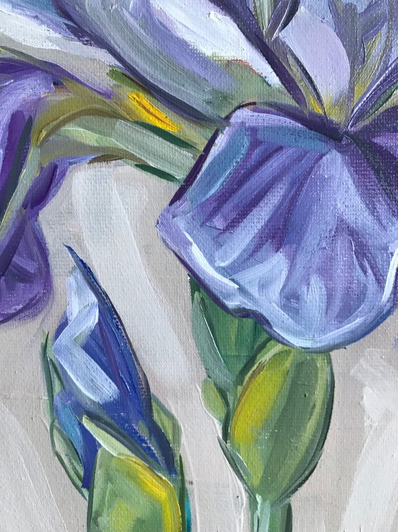 Iris Flower Oil Painting on canvas 28x35cm