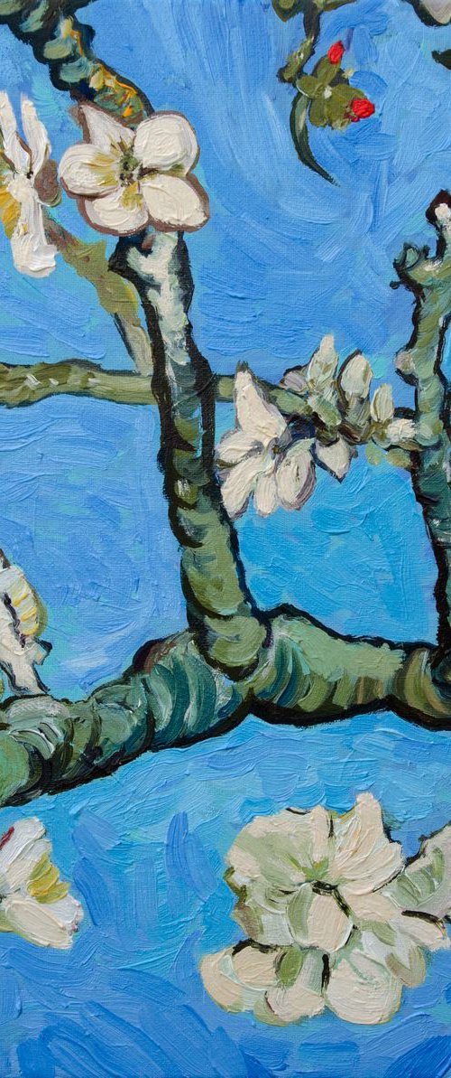Flowering almond branches by Nino Ponditerra