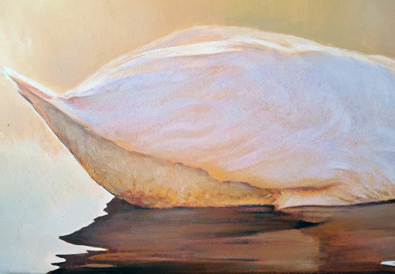 DAWN'S WHITE DUET